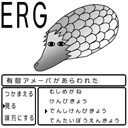 erg.jpg(12980 byte)